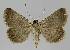  ( - BC EF Alc 00120)  @13 [ ] Copyright (2010) Unspecified Research Collection of Egbert Friedrich