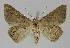  ( - BC EF Alc 00336)  @13 [ ] Copyright (2010) Unspecified Research Collection of Egbert Friedrich