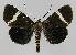  ( - BC EF Alc 00963)  @14 [ ] Copyright (2010) Unspecified Research Collection of Egbert Friedrich