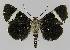  ( - BC EF Alc 00963)  @13 [ ] Copyright (2010) Unspecified Research Collection of Egbert Friedrich