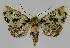  ( - BC EF Alc 00968)  @14 [ ] Copyright (2010) Unspecified Research Collection of Egbert Friedrich