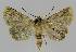  ( - BC EF Alc 00968)  @14 [ ] Copyright (2010) Unspecified Research Collection of Egbert Friedrich