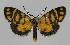 ( - BC EF Alc 00971)  @13 [ ] Copyright (2010) Unspecified Research Collection of Egbert Friedrich