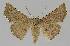  ( - BC EF Alc 00984)  @13 [ ] Copyright (2010) Unspecified Research Collection of Egbert Friedrich