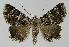  ( - BC EF Alc 00992)  @13 [ ] Copyright (2010) Unspecified Research Collection of Egbert Friedrich