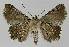  ( - BC EF Alc 00992)  @12 [ ] Copyright (2010) Unspecified Research Collection of Egbert Friedrich