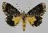  ( - BC EF Alc 00998)  @14 [ ] Copyright (2010) Unspecified Research Collection of Egbert Friedrich