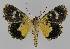  ( - BC EF Alc 00998)  @13 [ ] Copyright (2010) Unspecified Research Collection of Egbert Friedrich