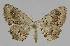  ( - BC EF Alc 01004)  @14 [ ] Copyright (2010) Unspecified Research Collection of Egbert Friedrich