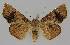  ( - BC EF Alc 01011)  @13 [ ] Copyright (2010) Unspecified Research Collection of Egbert Friedrich