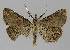  ( - BC EF Alc 01012)  @13 [ ] Copyright (2010) Unspecified Research Collection of Egbert Friedrich