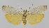  ( - BC EF Alc 01014)  @14 [ ] Copyright (2010) Unspecified Research Collection of Egbert Friedrich