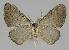  ( - BC EF Alc 01016)  @13 [ ] Copyright (2010) Unspecified Research Collection of Egbert Friedrich