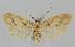 ( - BC EF Alc 01021)  @13 [ ] Copyright (2010) Unspecified Research Collection of Egbert Friedrich