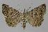  ( - BC EF Alc 01030)  @14 [ ] Copyright (2010) Unspecified Research Collection of Egbert Friedrich