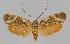  ( - BC EF Alc 01036)  @14 [ ] Copyright (2010) Unspecified Research Collection of Egbert Friedrich