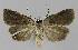  ( - BC EF Alc 01038)  @13 [ ] Copyright (2010) Unspecified Research Collection of Egbert Friedrich