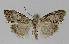  ( - BC EF Alc 01039)  @14 [ ] Copyright (2010) Unspecified Research Collection of Egbert Friedrich