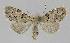  ( - BC EF Alc 01040)  @14 [ ] Copyright (2010) Unspecified Research Collection of Egbert Friedrich