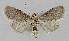  ( - BC EF Alc 01040)  @12 [ ] Copyright (2010) Unspecified Research Collection of Egbert Friedrich