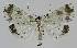  ( - BC EF Alc 01049)  @13 [ ] Copyright (2010) Unspecified Research Collection of Egbert Friedrich