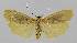  ( - BC EF Alc 01067)  @13 [ ] Copyright (2010) Unspecified Research Collection of Egbert Friedrich