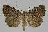  ( - BC EF Alc 01072)  @13 [ ] Copyright (2010) Unspecified Research Collection of Egbert Friedrich