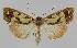  ( - BC EF Alc 01086)  @13 [ ] Copyright (2010) Unspecified Research Collection of Egbert Friedrich