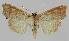  ( - BC EF Alc 01086)  @14 [ ] Copyright (2010) Unspecified Research Collection of Egbert Friedrich