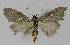  ( - BC EF Alc 01087)  @13 [ ] Copyright (2010) Unspecified Research Collection of Egbert Friedrich