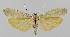  ( - BC EF Alc 01092)  @12 [ ] Copyright (2010) Unspecified Research Collection of Egbert Friedrich