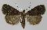  ( - BC EF Alc 01100)  @13 [ ] Copyright (2010) Unspecified Research Collection of Egbert Friedrich