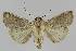  ( - BC EF Alc 01104)  @13 [ ] Copyright (2010) Unspecified Research Collection of Egbert Friedrich