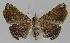 ( - BC EF Alc 01110)  @13 [ ] Copyright (2010) Unspecified Research Collection of Egbert Friedrich