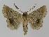  ( - BC EF Alc 01131)  @13 [ ] Copyright (2010) Unspecified Research Collection of Egbert Friedrich