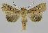  ( - BC EF Alc 01143)  @14 [ ] Copyright (2010) Unspecified Research Collection of Egbert Friedrich