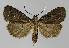  ( - BC EF Alc 01153)  @13 [ ] Copyright (2010) Unspecified Research Collection of Egbert Friedrich