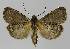  ( - BC EF Alc 01153)  @13 [ ] Copyright (2010) Unspecified Research Collection of Egbert Friedrich