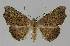  ( - BC EF Alc 01157)  @14 [ ] Copyright (2010) Unspecified Research Collection of Egbert Friedrich