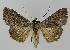  ( - BC EF Alc 01158)  @14 [ ] Copyright (2010) Unspecified Research Collection of Egbert Friedrich