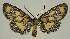  ( - BC EF Alc 01580)  @12 [ ] Copyright (2010) Unspecified Research Collection of Egbert Friedrich