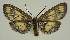  ( - BC EF Alc 01580)  @12 [ ] Copyright (2010) Unspecified Research Collection of Egbert Friedrich