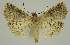  ( - BC EF Alc 01584)  @14 [ ] Copyright (2010) Unspecified Research Collection of Egbert Friedrich
