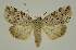  ( - BC EF Alc 01589)  @14 [ ] Copyright (2010) Unspecified Research Collection of Egbert Friedrich