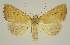  ( - BC EF Alc 01595)  @14 [ ] Copyright (2010) Unspecified Research Collection of Egbert Friedrich