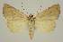  ( - BC EF Alc 01595)  @13 [ ] Copyright (2010) Unspecified Research Collection of Egbert Friedrich