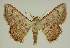  ( - BC EF Alc 01599)  @12 [ ] Copyright (2010) Unspecified Research Collection of Egbert Friedrich