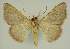  ( - BC EF Alc 01599)  @12 [ ] Copyright (2010) Unspecified Research Collection of Egbert Friedrich