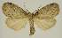  ( - BC EF Alc 01600)  @13 [ ] Copyright (2010) Unspecified Research Collection of Egbert Friedrich