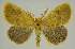  ( - BC EF Alc 01603)  @14 [ ] Copyright (2010) Unspecified Research Collection of Egbert Friedrich